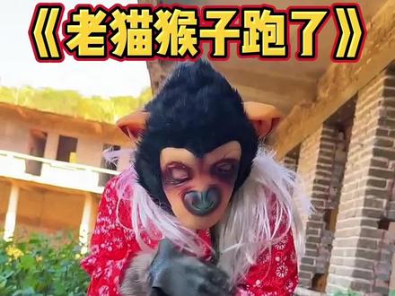 悬疑剧情段子,《老猫猴子跑了》 #剧情演绎 #悬疑 #民间故事 #搞笑段子 #改编歌曲