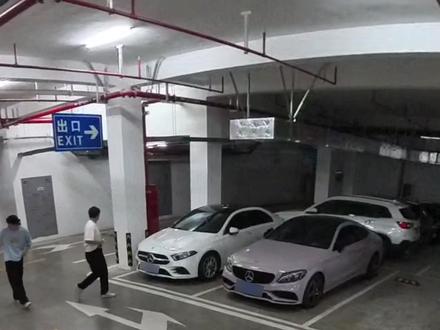 说你俩呢,狗狗祟祟干嘛呢! #守护的瞬间#拉车门 #六安警方整活了