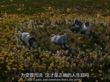 #实习医生格蕾 爷青回!Lexie!Mark!