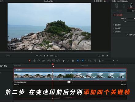 简单分享达芬奇曲线变速,变速模糊。