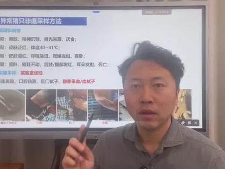 疑似非瘟异常动物猪只如何采样送检#所有养猪人 #养猪技术 #猪病 #科学养殖 #三农