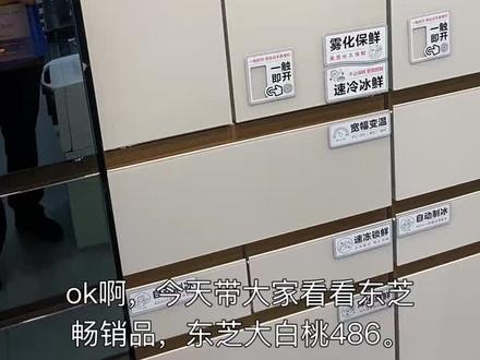 看看这款东芝爆款486冰箱#东芝 #东芝冰箱 #东芝冰箱486 #家电 #全屋家电