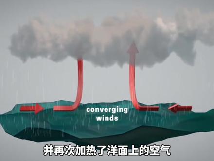 台风是怎样形成的?#科普#台风#台风形成