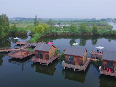 野釣不用收竿,釣位介绍#荷塘家宴#白洋淀野釣