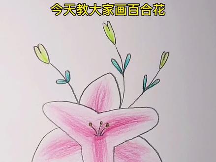 花卉植物百合,手抄报元素#儿童简笔画 #简笔画 #一起学画画 #想画就画 #育儿
