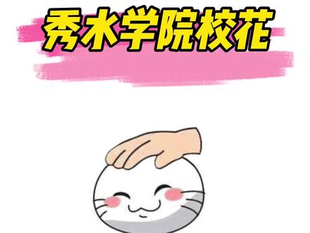 木叶百科第84期 有些人表面上是火影主播,实际上…#火影忍者手游