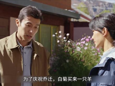 白菊和邵云飞竟然离婚了#杨紫#生命树#影视解说