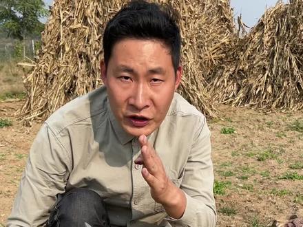 蛤蟆草真的是个宝贝草,关于它的价值大家真的很有必要去好好了解一下。它喜欢生长河边向阳的坡面,你冬天可以在那里找到它。#蛤蟆草 #识百草 #雪见草 #荔枝草