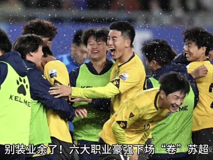寻球:别装业余了!六大职业豪强下场“卷”苏超,2026苏超谁才是王中王?