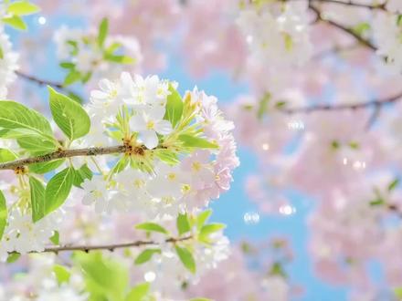 今天学习咏春歌词卡点效果,一分钟教会你#咏春歌词#剪辑教学剪映 #剪映教学 #邪修出片指南 #剪辑技巧