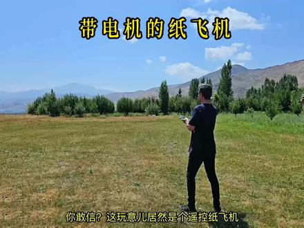 带电机的纸飞机 #马斯克#每天跟我涨知识