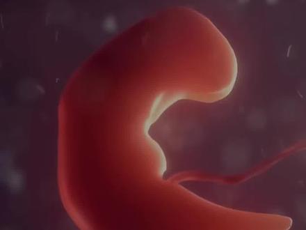 怀孕1-40周 | 胎宝宝每周成长记录 💖👶
怀孕是一段神奇而美妙的旅程,从受精卵的形成到宝宝的诞生,每一个阶段都充满了惊喜和变化。以下是胎宝宝从第1周到第40周的每周成长记录,让我们一起来见证这个奇妙的生命历程吧!
·
第1周:受精卵的启程
状态:卵子在女性子宫内等待,精子还未到来。
变化:受精卵还未形成,但生命的旅程已经开始。
第4周:着床扎根
状态:受精卵在子宫内着床。
变化:大脑和神经组织开始发育,胚胎开始生长。。
第7周:五官初现
状态:面部器官开始可辨。
变化:眼睛、鼻孔和耳朵开始形成,手脚也开始慢慢长出来。
第8周:器官成长
状态:脑部发育,手指和脚趾间有蹼状物。
变化:各种器官开始成长,胎儿生长发育较快。
第9周:胚胎成形
状态:胚胎已经成形。
变化:约长25毫米,所有器官、肌肉、神经开始工作。
第10周:身长增长
状态:身长约40毫米,体重约10克。
变化:形状像扁豆荚,眼皮开始粘合。
第11周:生殖器发育
状态:生殖器开始发育。
变化:胎儿能做吸吮、吞咽和踢腿动作。
第12周:骨骼变硬
状态:手指和脚趾分开,骨骼开始变硬。
变化:出现关节雏形,胎儿初具人形。
第13-16周:感官发展
状态:感官开始发育。
变化:消化系统开始工作,会吞咽羊水并排泄尿液;听觉系统逐渐成熟,能听到外界声音;眉毛、睫毛和耳朵发育。
第17-20周:活跃期
状态:器官发育良好,身长和体重迅速增加。
变化:感官继续发育,可以听到声音,妈妈可能会感受到胎动。
第21-24周:肺部发育
状态:胎儿身上覆盖了一层白色的胎脂。
变化:肺部开始发育,皮肤开始有皱纹,全身覆盖细细的绒毛。
第25-28周:眼睛感光
状态:眼睛能感知光线。
变化:呼吸动作开始,肺部逐渐发育,胎儿开始吞咽羊水。
第29-32周:皮下脂肪堆积
状态:骨骼和肌肉继续成熟。
变化:皮下脂肪开始形成,看上去更圆润。
第33-36周:呼吸系统成熟
状态:呼吸系统更加成熟。
变化:为出生后的呼吸做好了充分准备,消化系统和肺部成熟。
第37-40周:发育成熟
状态:胎儿全部发育成熟。
变化:体重约3200克,身长52厘米左右,随时准备来到这个世界。
·
#准妈妈孕妈妈 #孕期知识 #怀孕生产 #胎儿发育 #怀孕知识