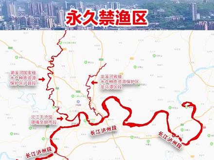 #泸州 关于 #禁渔 #钓鱼 你得知道这些知识