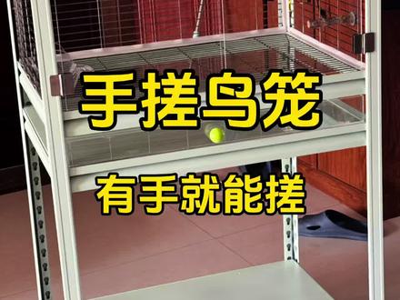 终于还是下手了🥳我们养鸟人做什么都会成功的🥰超级满意 推荐推荐手搓一下#手搓鸟笼 #自制鸟笼 #鹦鹉 #牡丹鹦鹉 #手养鹦鹉