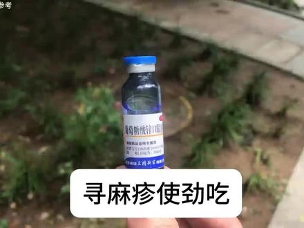 坚持如种子,耕耘自有盛放#荨麻疹结束了#日常分享