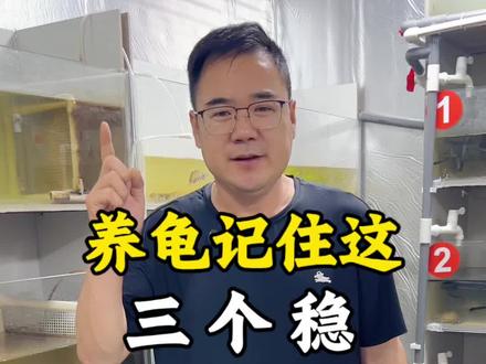 养龟记住这三稳,你养龟就成功90%了!#龟龟🐢 #养龟日常 #宠物 #抖音小助手