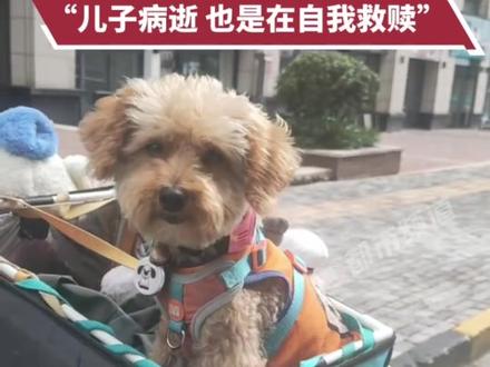 大叔带着狗狗和玩偶送外卖,“儿子病逝后,也是在自我救赎”#外卖小哥 #狗狗 视频来源@辛哥与财财 @wyh