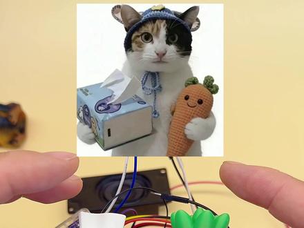 我这个是真的自动的。#萝卜纸巾 #真棒 #纸巾萝卜猫 #萝卜纸巾猫