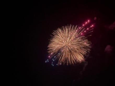 8寸龙珠沙漠风暴#八哥带你玩烟花 #安全燃放烟花爆竹 #抖音小助手