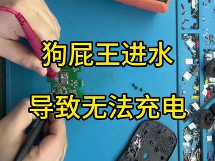 #游戏外设 #专业维修 #gpw #鼠标 #罗技gpw 狗2进水维修案例