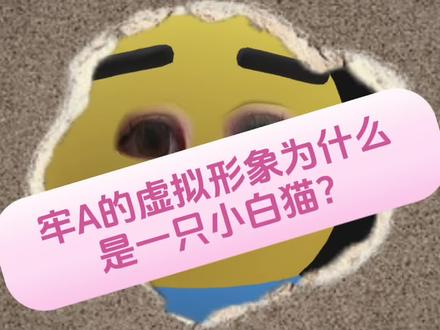 牢A的虚拟形象为什么是一只小白猫?
#牢A #东方地灵殿 #火焰猫磷 #小白猫 #每日分享