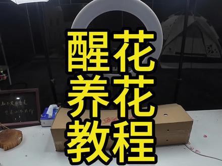 收到花不会醒花养花的姐妹,教程来咯#养花知识分享