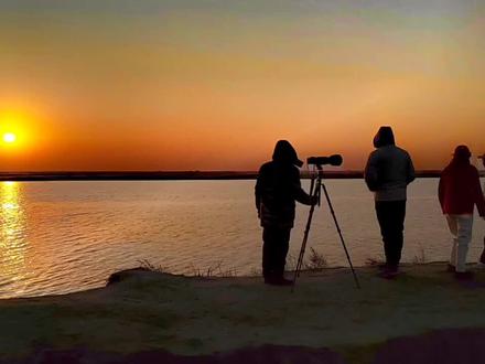 2025.12.05山东东营——鸟浪
东营鸟浪”通常指的是中国山东省东营市黄河三角洲地区在特定季节出现的大规模鸟类迁徙现象,是当地极具特色的自然景观之一。以下是关于“东营鸟浪”的详细介绍:
### **1. 形成原因**
- **地理位置与生态环境**:
东营位于黄河入海口,拥有广袤的湿地(如黄河三角洲国家级自然保护区)、滩涂和浅海,为鸟类提供了丰富的食物资源(鱼虾、甲壳类、湿地植物等)和安全的栖息环境。
- **迁徙路线关键节点**:
东营地处东亚-澳大利西亚候鸟迁徙路线的重要节点,每年春秋两季(尤其是春季4-5月、秋季9-10月),大量候鸟会在此停歇、觅食或越冬,形成壮观的“鸟浪”。
### **2. 主要鸟类种类**
- **珍稀候鸟**:
包括丹顶鹤、东方白鹳、大鸨、金雕、白鹤、黑嘴鸥等国家一级保护动物,以及灰鹤、白鹭、苍鹭等大量水鸟。
- **数量规模**:
高峰期时,鸟类数量可达数十万只,密集飞行或栖息时,仿佛形成“浪涛”般的视觉效果,因此得名“鸟浪”。
### **3. 观赏最佳时间**
- **春季(4-5月)**:
候鸟北迁途经此地,补充能量后继续北上,此时鸟类种类和数量最为集中。
- **秋季(9-10月)**:
候鸟南迁前在此停留,部分越冬鸟类开始抵达,同样是观赏“鸟浪”的好时机。
- **冬季(11月-次年2月)**:
部分耐寒鸟类(如大天鹅)会越冬,也可观察到集群的水鸟。
### **4. 推荐观赏地点**
- **黄河三角洲国家级自然保护区**:
核心区域(如黄河故道、生态村、观测塔)是鸟类集中分布地,可通过观鸟台、徒步或乘观光车近距离观察。
- **东营市观鸟协会/湿地博物馆**:
提供专业观鸟指导和科普教育,适合初学者。
- **孤岛槐树林温泉旅游区**:
周边湿地也常有鸟类栖息,兼具生态与休闲体验。