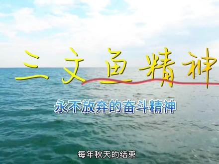 #三文鱼洄游#逆流而上的鱼#生命的意义 三文鱼洄游,见证逆流而上的精神!人生的道路上也许不会有它们回流道路那么直观残酷的艰辛,但我们每个人都会遇到挫折的。只有靠着自己的意念和坚定了的态度,我们才会像三文鱼那样冲过重重的难关最终达到目的地。