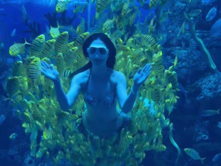 石家庄动物园「春节假期游玩攻略」来了~带孩子看精彩表演,看各种陆地水中空中动物,一天时间在这里玩个够~#现在出发直达海底隧道#石家庄极地海洋世界#亲子游玩好去处#遛娃好去处#春节假期去哪玩