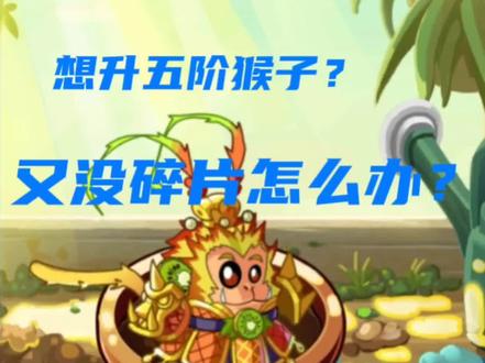 #植物大战僵尸2 猕猴桃碎片获取带你上五阶