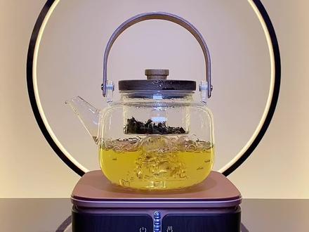 白茶的详细煮茶方法,转发你的茶友把!#白茶 #电陶炉 #煮茶器 #高端茶器