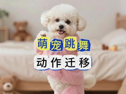 最近爆火的萌宠跳舞如何制作的?保姆级O成本生成,最近这种萌宠海豹舞和萌宠醉酒舞真的非常不错,一条视频带你玩转各种舞蹈动作迁移,宠物跳舞教程准备好了#AI创作者浪潮计划 #萌宠跳舞 #醉酒舞 #ai教程 #青年创作者成长计划