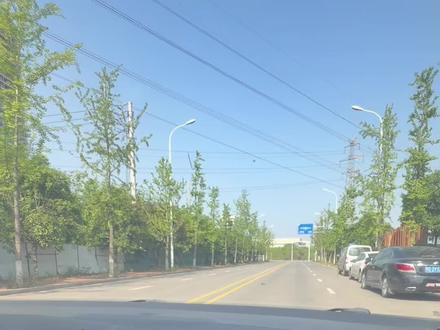 科目三考试 靠边停车+下车动作,一把过完整版教学! #长沙驾培张公子 #创作灵感 #科目三 #长沙考驾照 #张公岭考场