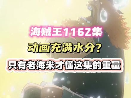 海贼王1162集,动画充满水分?罗宾萨乌罗的相拥,只有20年老海米才懂的含金量#海贼王 #热血番补完计划 #充能计划 #动漫编年史 #动漫大事件
