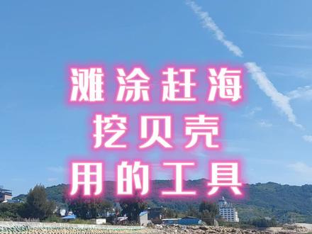 赶海挖贝壳工具#赶海一号 #福州周边游 #周末去哪玩 #赶海 #暑假