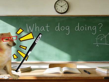 “我的刀盾” #meme #猫meme #我的刀盾