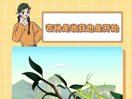 你知道二十四节气中 芒种的芒指的是什么吗?#节气里的中国 #芒种是收获也是开始 #芒种拥抱每一份收获