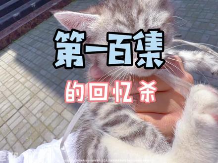 给你看属于我的幸运小喵~烟灰缸!
#记录猫咪日常 #我和流浪猫的故事 #这样的猫孩子谁不爱 #庄园老邢瞎弄的日常