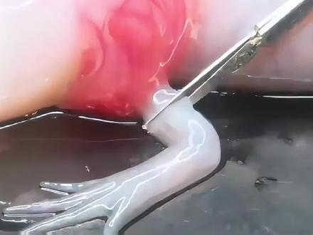 屏幕上的萌宠,手术台上的奇迹,正在消失的它。#保护动物人人有责 #美西螈 #保护环境 #青年创作者成长计划 #神奇动物在这里