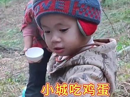 傻妈的运气太好啦,在山上采摘野菜时,意外收获了一窝野鸡蛋 #越南农村 #农村生活