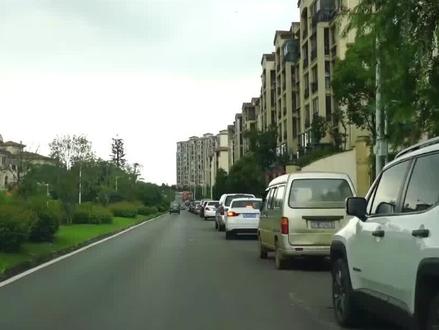 撞到突然开启车门的车怎么判责 #交通安全 #安全驾驶