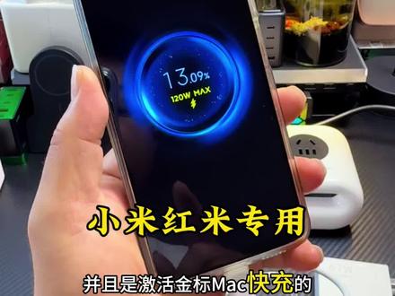 带金标快充、PD快充协议!#充电器