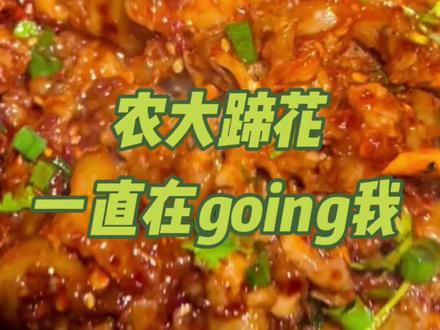 这哈尔滨蹄花到底多好吃啊#蹄花#哈尔滨#娱乐评论大赏#美食#味道好极了你们想吃吗