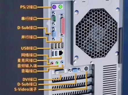 电脑主机这些接口有什么作用#创作灵感 #0基础学电脑 #文员 #文员零基础入门教程 #cad画图