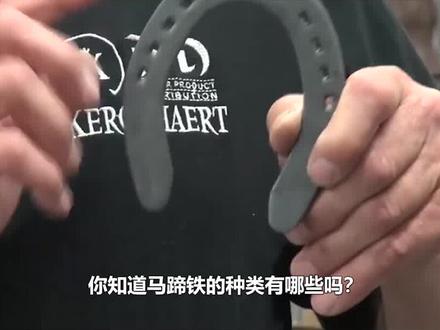 人类给马钉上马蹄铁,是私欲还是为了马儿好?野马为什么不需要? #科普 #马蹄铁 #动物