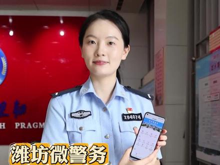 如何网上办理无犯罪证明?#无犯罪记录证明 #无犯罪证明怎么网上申请 #平安怡夏