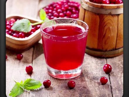 原本只在国外才有的蔓越莓,如今成了东北特产! #蔓越莓 #蔓越莓原汁 #nfc鲜榨果汁