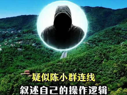 疑似陈小群连线 叙述自己的操作逻辑#游资心法 #短线交易 #交易心得 #交易员 #交易员的自我修养