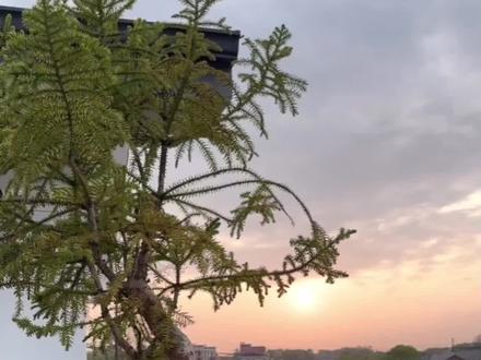 给你们找到一个周末游,团建聚会的好地方,远离城市的喧嚣,感受农家小院的乡土风情,却又有城市的便捷,开车十几分钟。#特色农庄 #农家菜 #周边游 #春日游玩攻略 #周末好去处