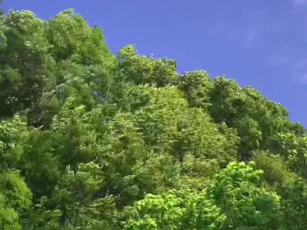 “说说你网名的含义吧。”